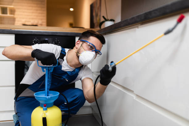Best Affordable Pest Control Services  in North Spearfish, SD
