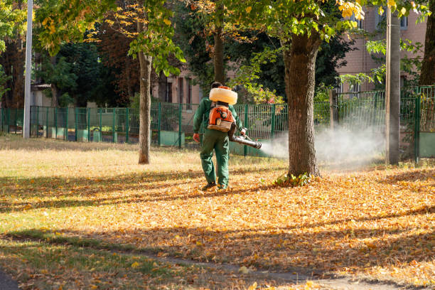 Best Wasp Removal Services  in North Spearfish, SD