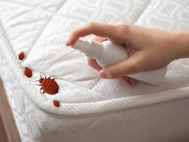 Professional Pest Control in North Spearfish, SD
