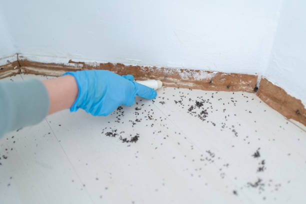 Best Exterminator Services  in North Spearfish, SD