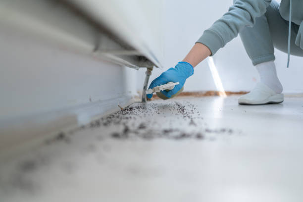 Best Best Pest Control Companies  in North Spearfish, SD