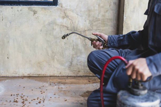 Best Pest Control Cost  in North Spearfish, SD